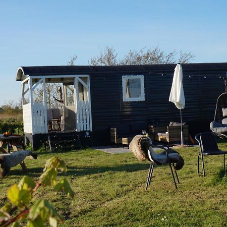 Bed And Breakfast Het Schapenlandje Waarland Buitenkant foto