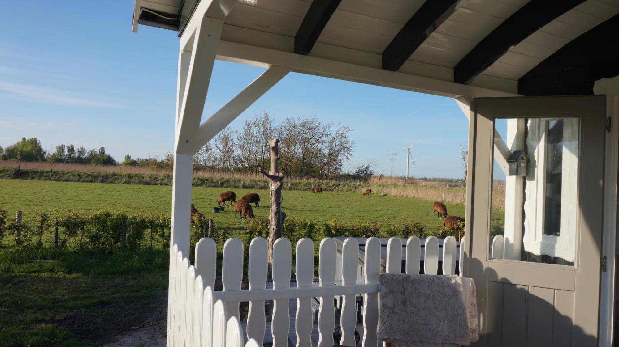 Bed And Breakfast Het Schapenlandje Waarland Buitenkant foto